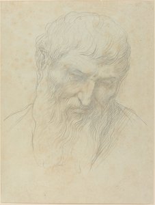 巻き毛とひげを持つ男の頭 作： Alphonse Legros