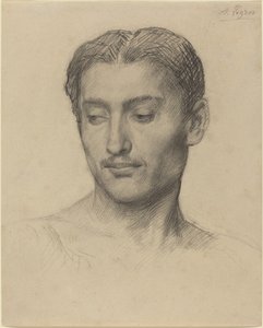 若い男の頭。 作： Alphonse Legros