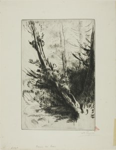 森の中 作： Alphonse Legros