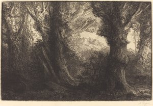 コントヴィルの森で (Dans la foret de Conteville) 作： Alphonse Legros