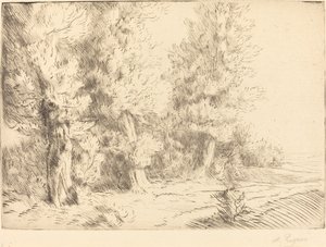 フォンテーヌブローの森で (Dans la foret de Fontainebleau)