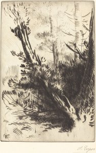 イン・ザ・ウッズ イン・ザ・ウッズ。 作： Alphonse Legros