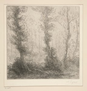 ザ リトル レイク 作： Alphonse Legros
