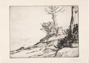 ブラシマウンド 作： Alphonse Legros