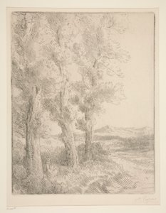 ウーマン・リーディング: レッスン・アンダー・ザ・ツリーズ 作： Alphonse Legros