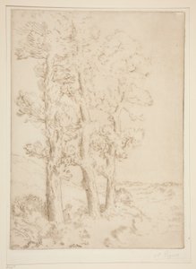 ウーマン・リーディング: レッスン・アンダー・ザ・ツリーズ 作： Alphonse Legros