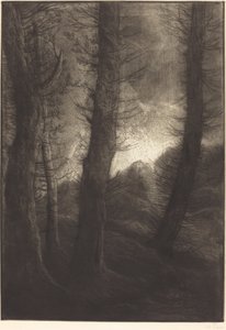 太陽に対して見られる大木 大木: 夕方の効果。 作： Alphonse Legros