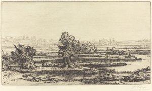 ピートボグ レ トゥールビエール。 作： Alphonse Legros