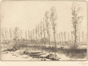 アミアン近郊のポプラ 作： Alphonse Legros