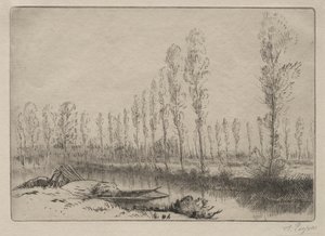 アミアン近郊、ピートボグ 作： Alphonse Legros
