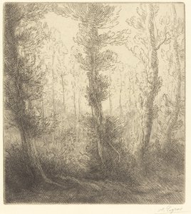 小さな湖 作： Alphonse Legros