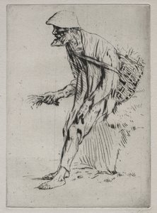 レッド・ピンパーネル・ベンダー。 作： Alphonse Legros