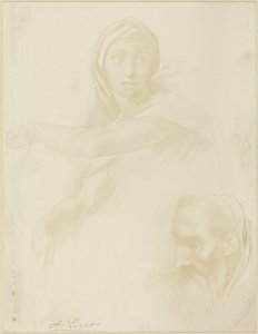 Delphic Sibyl の研究; 男の頭