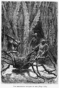 スパイダーカニ、ジュールヴェルヌ（1828-1905）による「海の下での20,000リーグ」のイラストアンリテオフィルヒルディブランド（1824-97）による彫刻パリ、ヘッツェル、1877年に出版 作： Alphonse Marie de Neuville