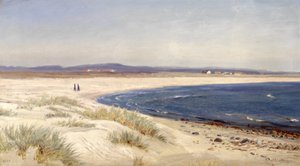 ノルウェー語  浜辺の人々