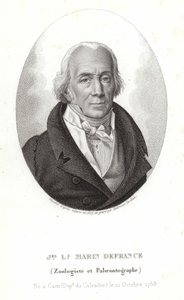 フランスのジャック・ルイ・マリン 作： Ambroise Tardieu