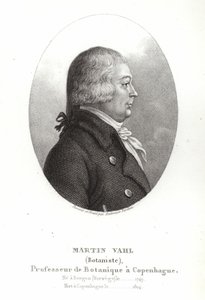マーティンヴァール 作： Ambroise Tardieu