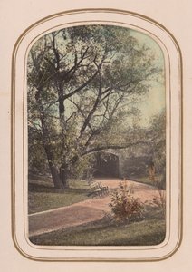 1860 年代のセントラル パーク ビューのカルト ド ビジット アルバム。 作： Ambrose Jackson
