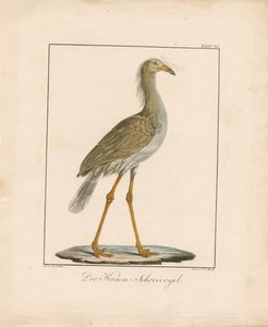  作： Ambrosius Gabler