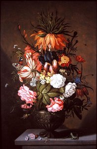 分類された花の静物、1634 作： Ambrosius the Younger Bosschaert