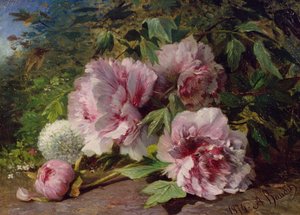 牡丹の研究、1874 作： Amedee Baudit