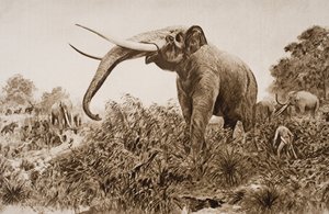 チャタムエレファント、HGウェルズの「歴史の概要」のイラスト、I巻、1920年（リソ）