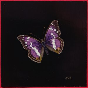 紫皇帝蝶、2000 作： Amelia Kleiser