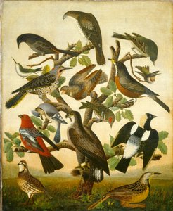 鳥 作： American 19th Century