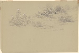 開花低木と砂漠の植物 作： American 19th Century after John Frederick Kensett