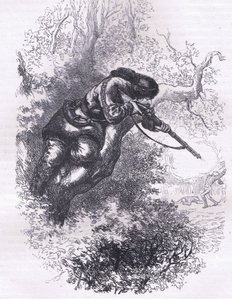 木の上に立つアメリカ人射手（1900年頃、Cassell, Petter & Galpin社発行のCassells History of the United Statesからのイラスト）（リトグラフ版
