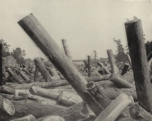 ウィスコンシン州セントクロイ川のログジャム（モノクロ写真 作： American Photographer (after)