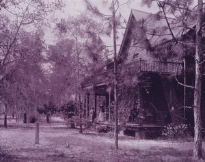フロリダ州サザンパインズの木陰に建つ家（モノクロ写真 作： American Photographer (after)