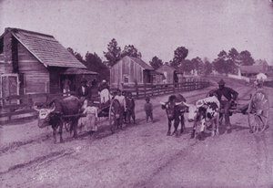 バージニア州の幸せな内容の村の風景（モノクロ写真 作： American Photographer (after)