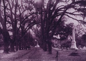 ジョージア州サバンナ、ボナベンチャー墓地（モノクロ写真 作： American Photographer (after)