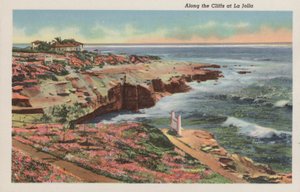 カリフォルニアラ・ホヤの崖沿い（写真 作： アメリカの写真家（後）