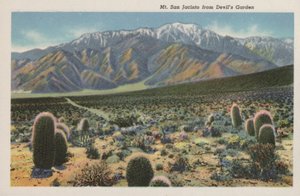 カリフォルニアデビルズガーデンからのサンジャシント山（写真