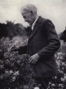 花を愛でるルーサー・バーバンク（モノクロ写真 作： American Photographer (after)