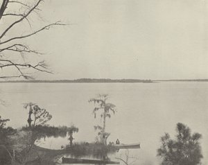 ノースカロライナ州・パムリコ川（モノクロ写真 作： American Photographer (after)