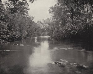 ノースカロライナ州、スワンナノア川（モノクロ写真 作： American Photographer (after)