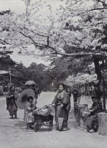 東京・芝公園の桜の下で（モノクロ写真