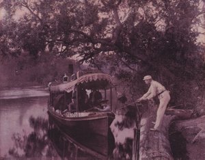 フロリダの冬（モノクロ写真 作： American Photographer (after)