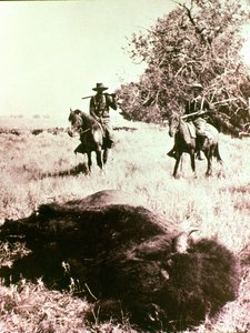 アメリカンバイソンハンター 作： American Photographer