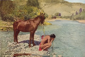 アパッチ戦士、リオナバホ、アリゾナ（カラー写真）