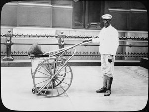 シティストリートクリーナー、フィラデルフィア、1920年頃 作： American Photographer