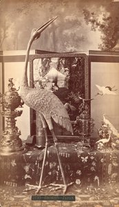 フィラデルフィア・センテニアル国際博覧会「日本の青銅器、鳥」展 作： アメリカの写真家