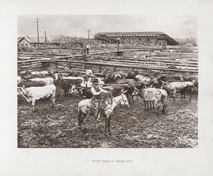 米国ミズーリ州カンザスシティ 作： American Photographer