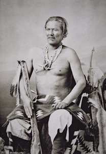 マヌエルイト（1818～93）ナバホ族の首領 1870～84年 作： American Photographer