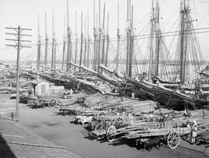 Muelle Tallapiedras, Havana, c.1904 (bw/photo) 作： American Photographer