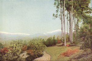 カリフォルニア州スマイリーハイツのオールドバディー（カラー写真） 作： American Photographer