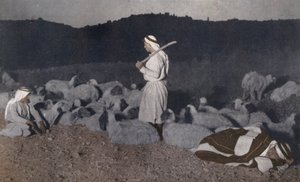 夜、群れを見守るパレスチナの羊飼いたち（カラー写真） 作： アメリカの写真家